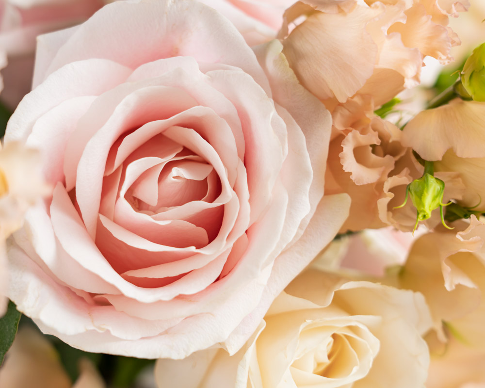 Brudbukett-Pastell-Br&ouml;llopsbukett-Rosor-Detalj-Interflora.jpg
